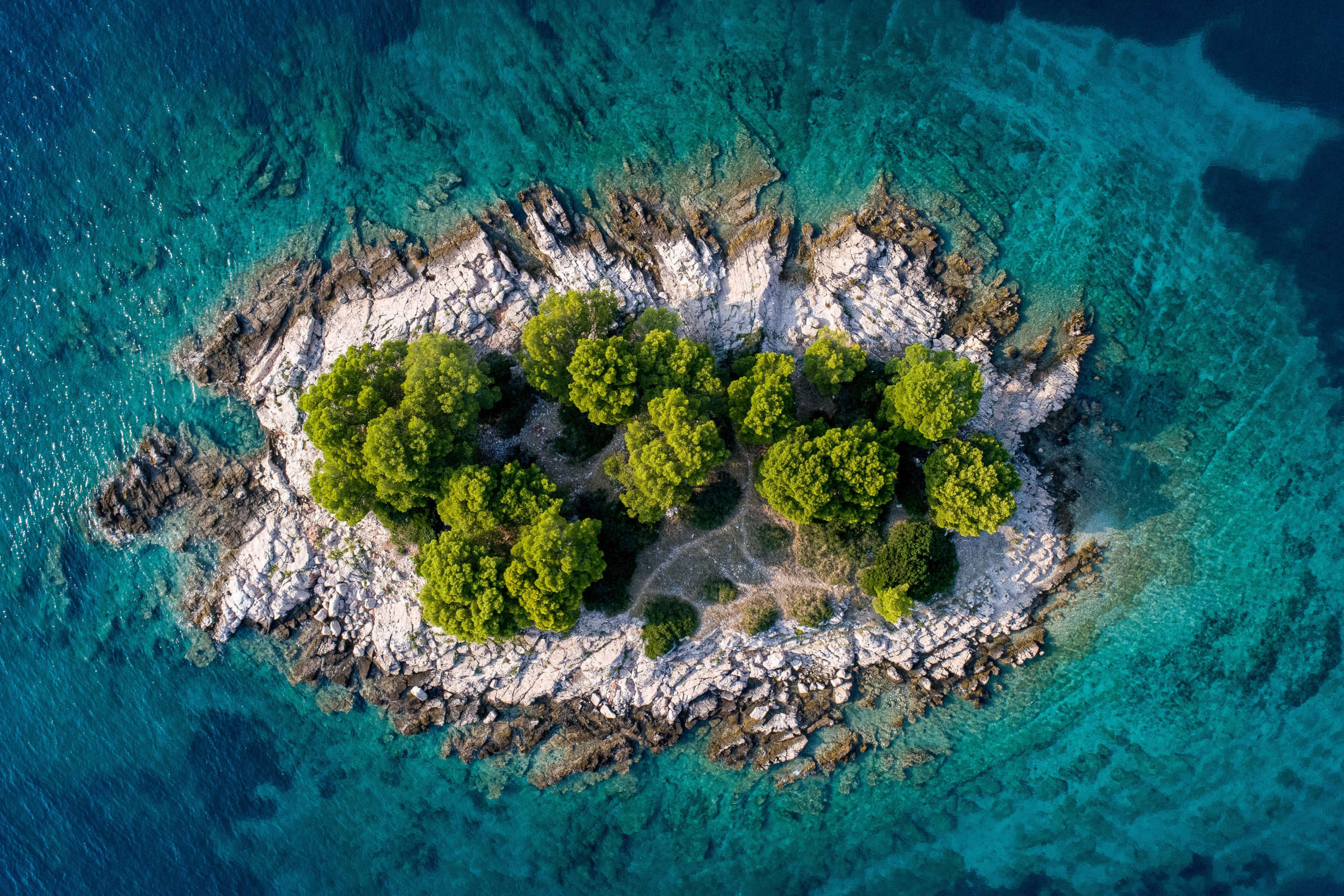 bissagos islands.webp